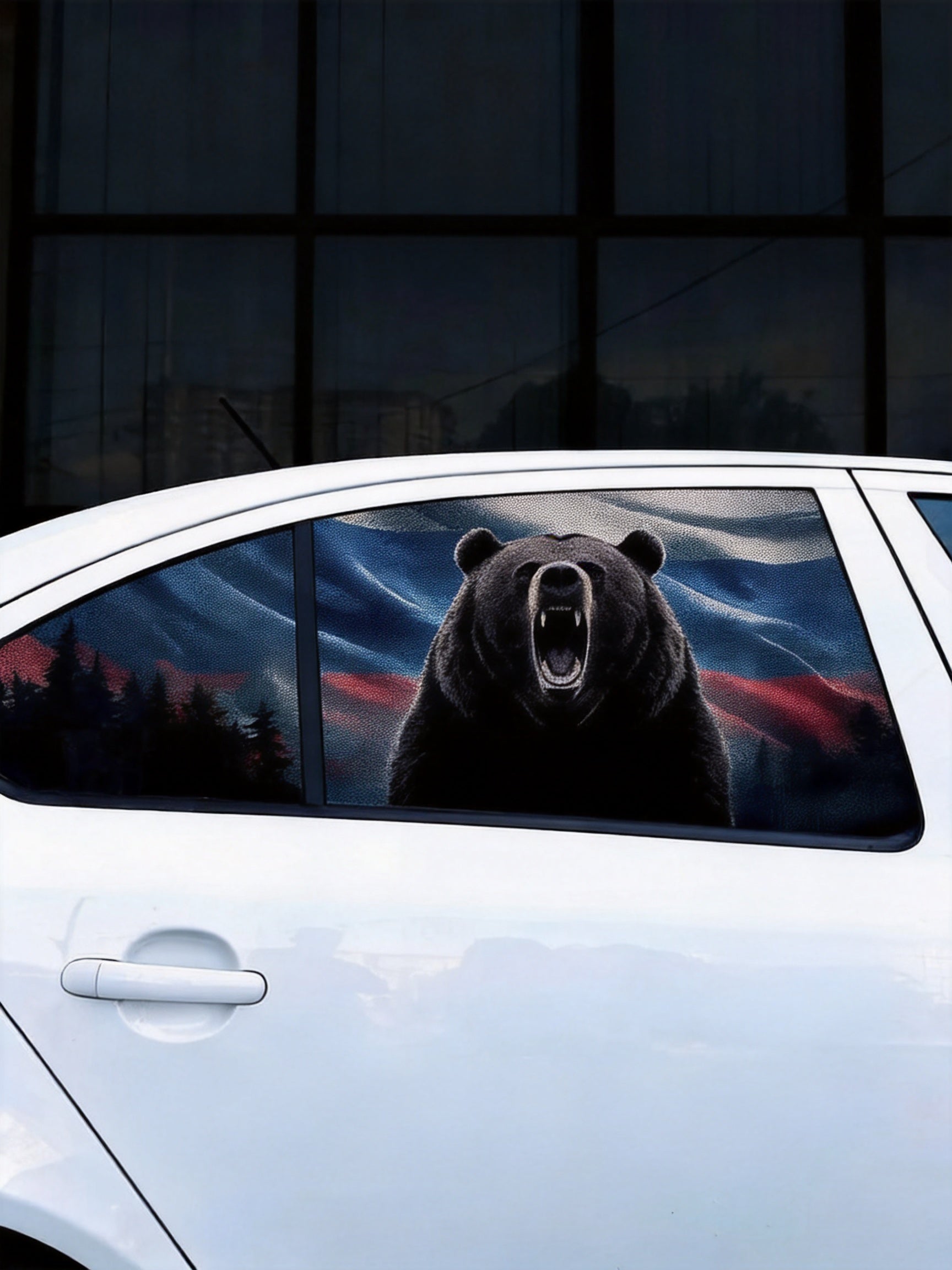 Car Window Sticker – Style & Protection