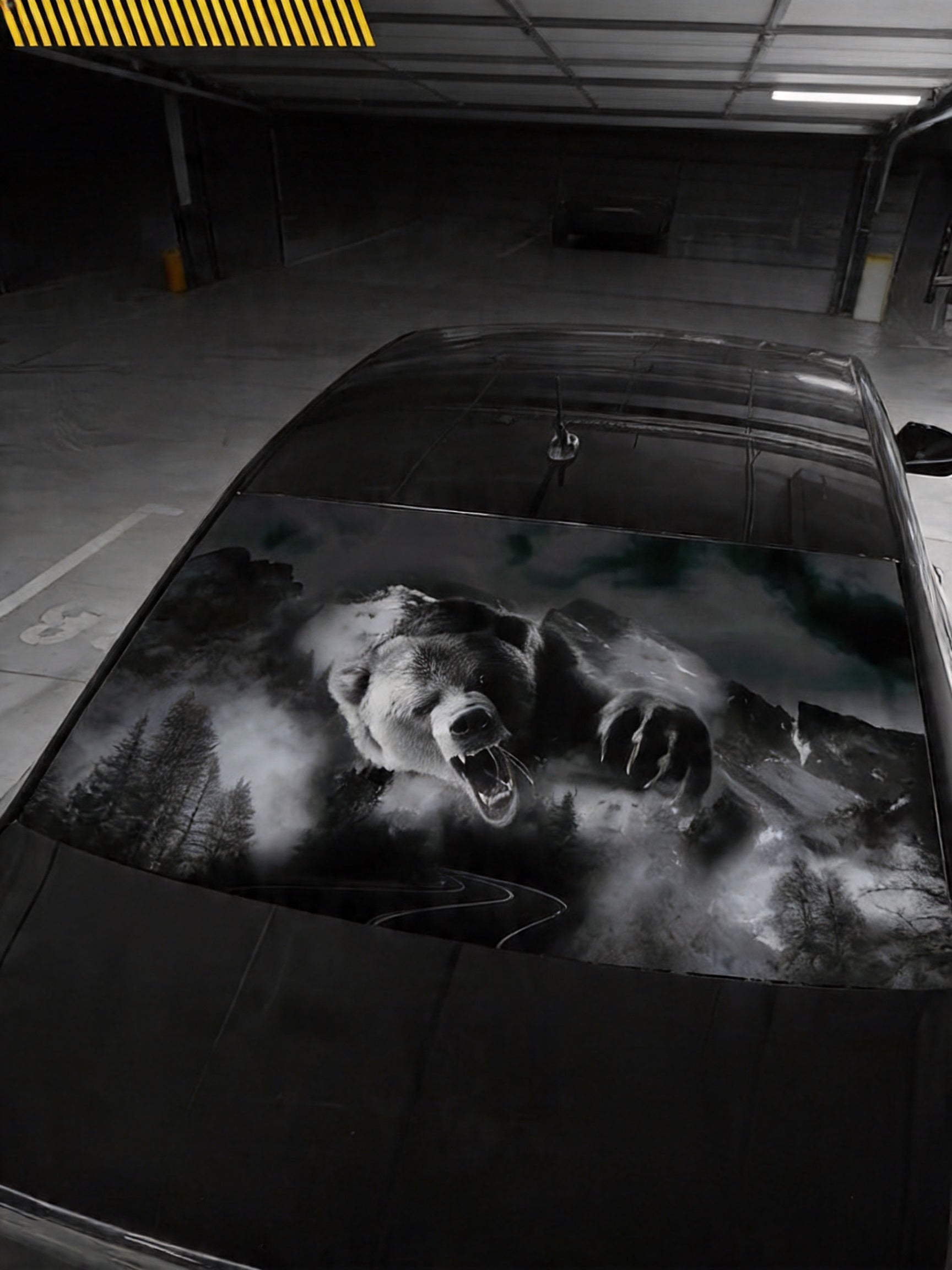 Rear Window Car Sticker – Style & Protection